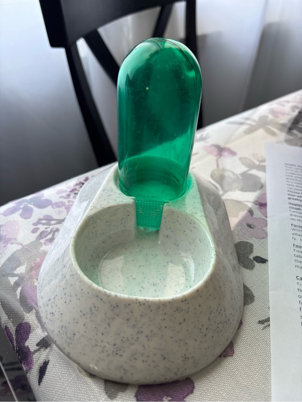 Lizzard animal water bottle